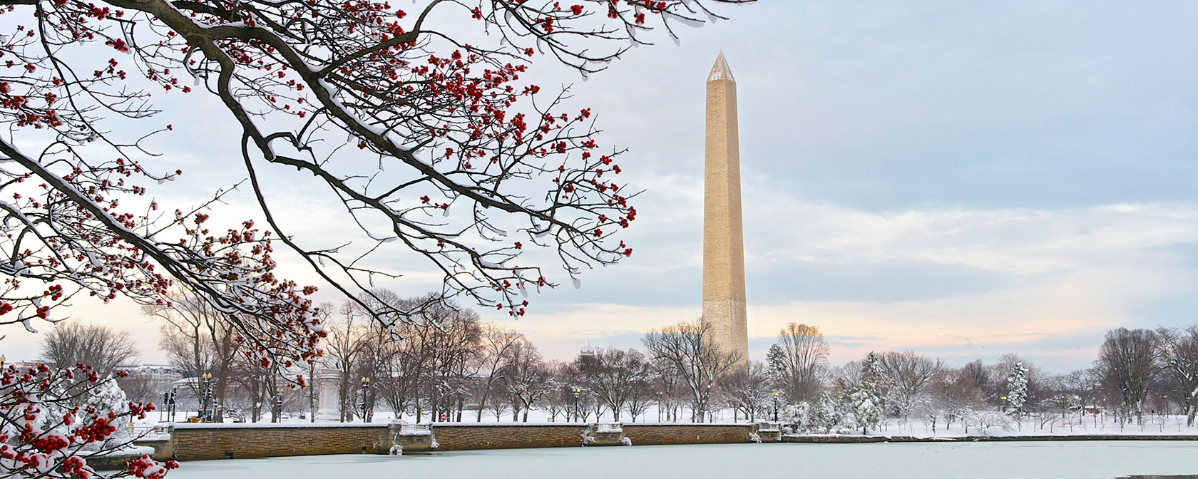 Monumento a Washington dal bacino di marea in inverno