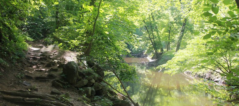 Rock Creek Park