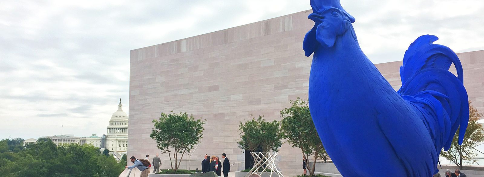 Veranstaltungen und Festivals in Washington, D.C.