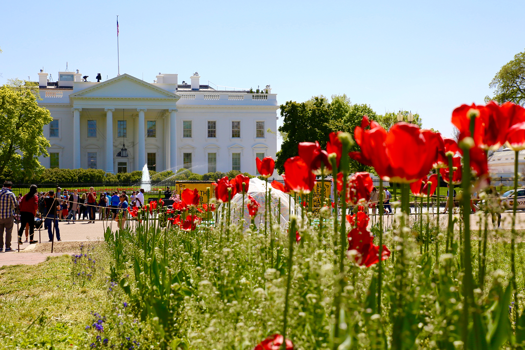 Casa blanca con tulipanes en frente