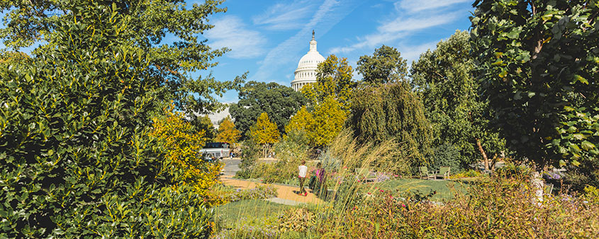 Oasis outside of US Botanic Garden