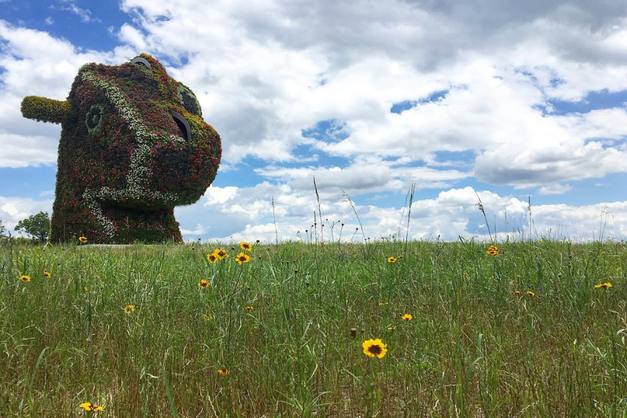 Glenstone Museum 