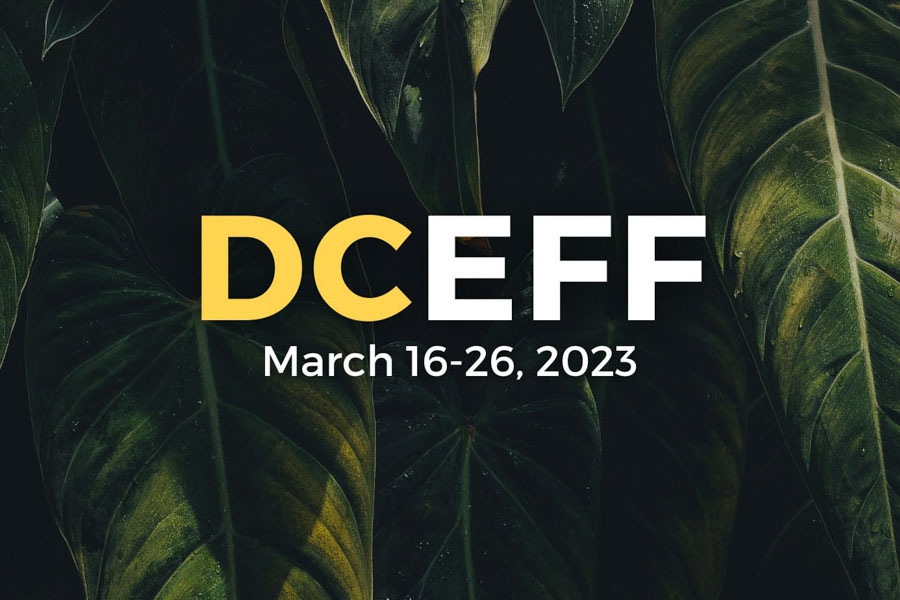 Graphic for DCEFF