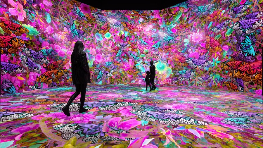 virtual world of cherry blossoms and discover the ephemeral beauty of butterflies