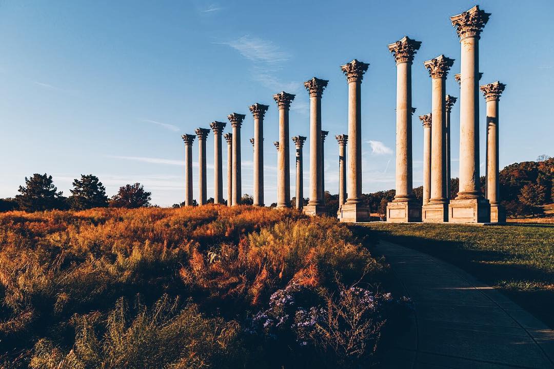 United States National Arboretum