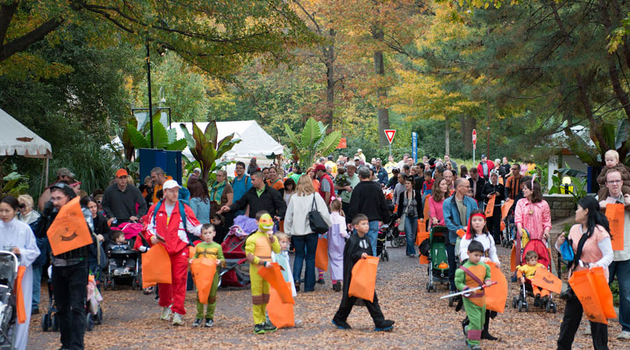 Trick-or-Treating at the National Zoo