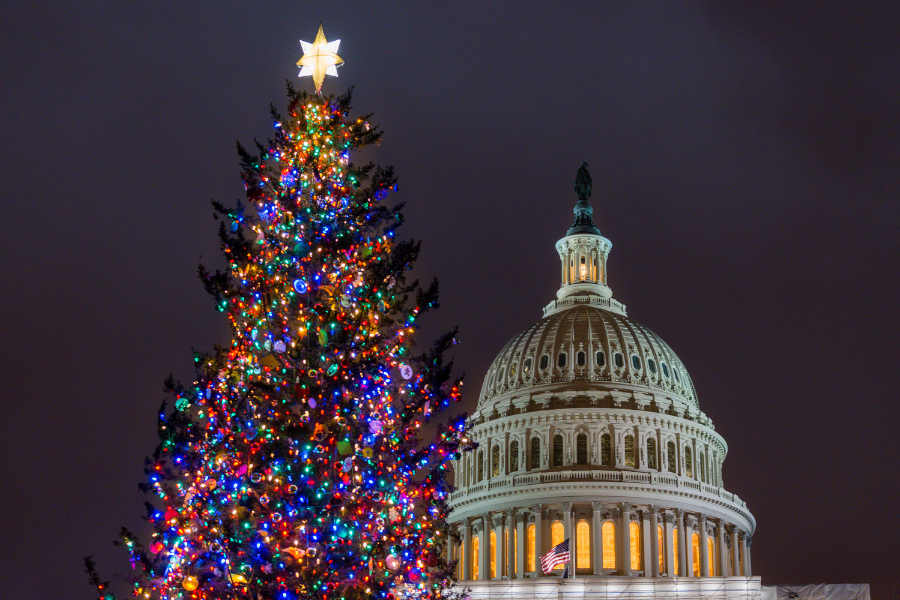 U.S. Captiol Christmas Tree