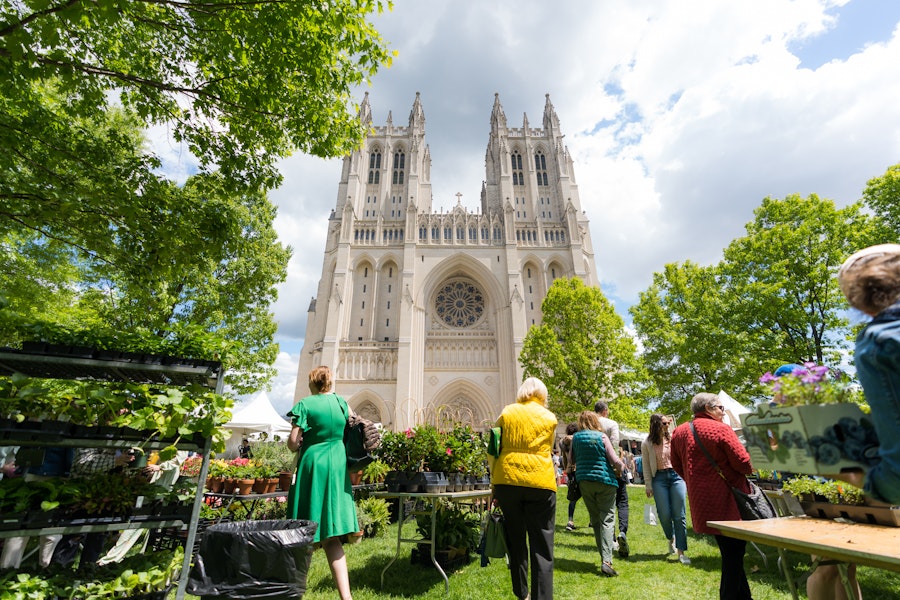 Catedral Nacional Flower Mart