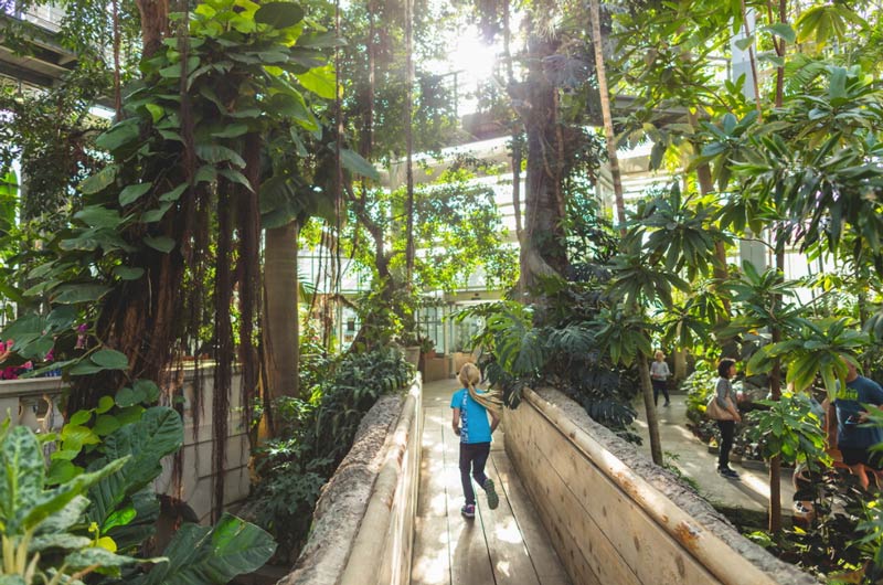 Child at United States Botanic Garden on Capitol Hill - Free living museum in Washington, DC