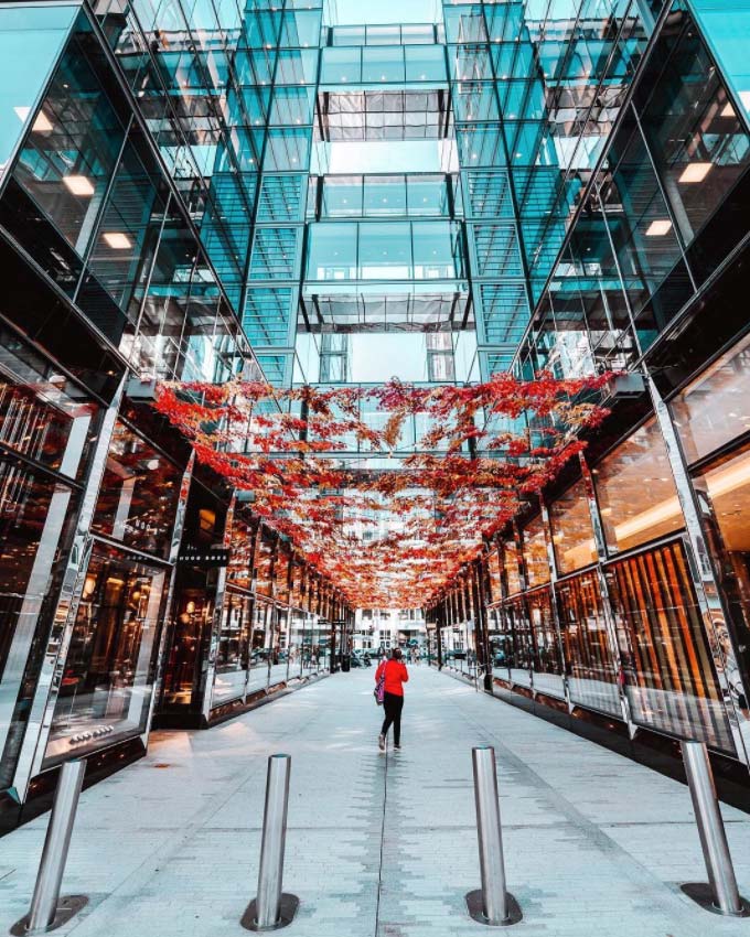 @drewfolgmann - Fall foliage Palmer Alley installation in CityCenterDC - Shopping and dining destination in Washington, DC