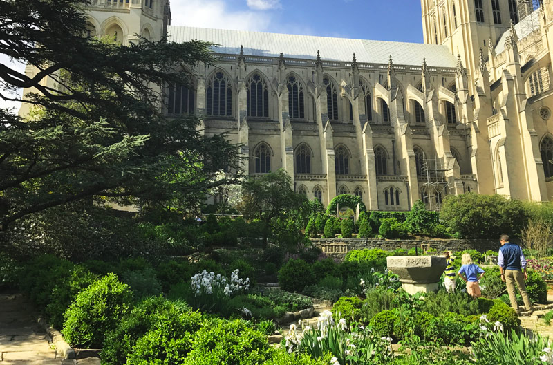 Family at Washington National Cathedral in Upper NW - Things to Do in Washington, DC