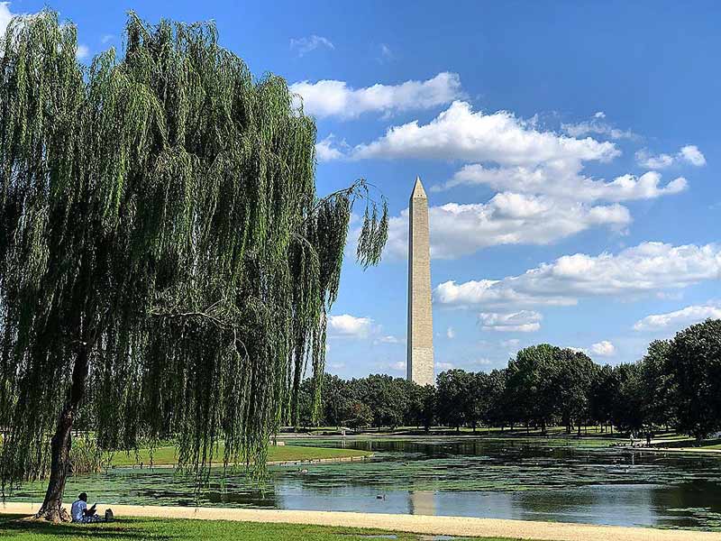 Summer on National Mall at Constitution Gardens in Washington, DC