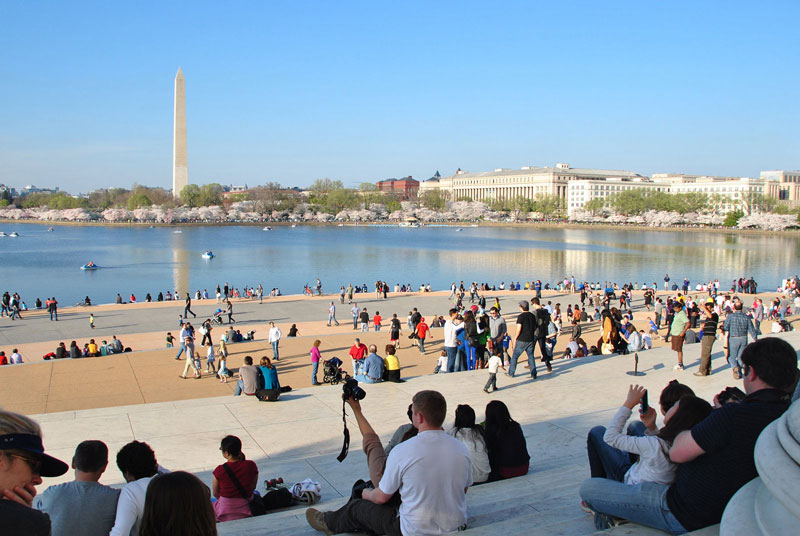 People taking photos of cherry blossom trees from Jefferson Memorial steps - Spring in Washington, DC