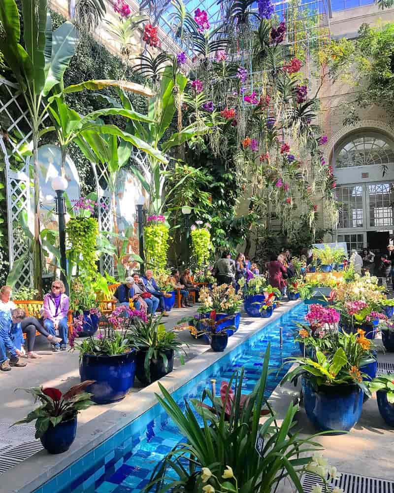@tylerkcalder - Atrium in the United States Botanic Garden - Free attraction on the National Mall in Washington, DC