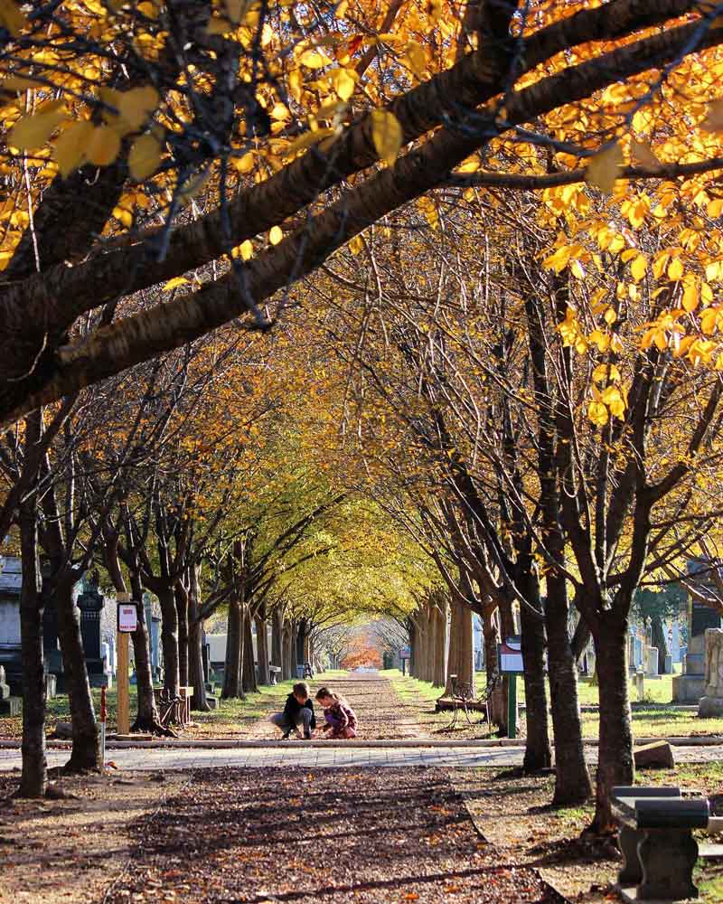 @havardphotos - Children at Historic Congressional Cemetery in Washington, DC @havardphotos - Children at Historic Congressional Cemetery in Washington, DC