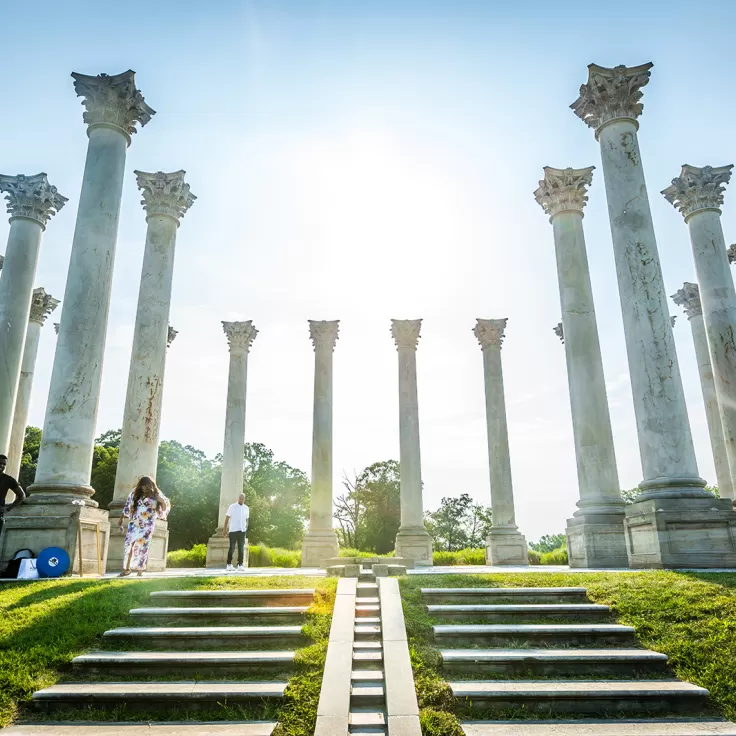 U.S. National Arboretum - Parks &amp; Outdoor Activities in Washington, DC