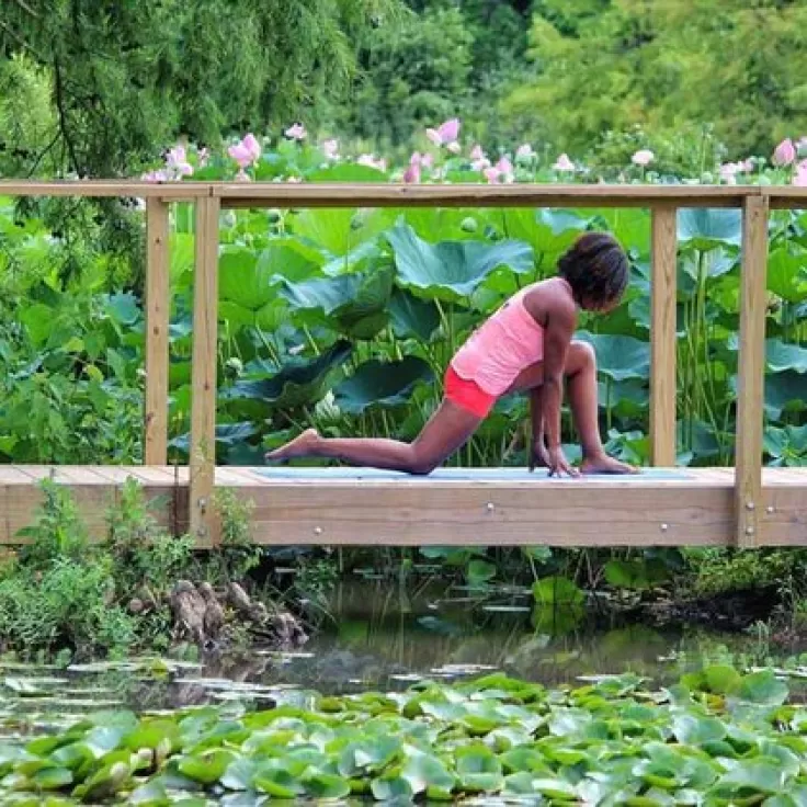 @nadiacherelle - Morning workout at Kenilworth Aquatic Gardens - National park in Washington, DC