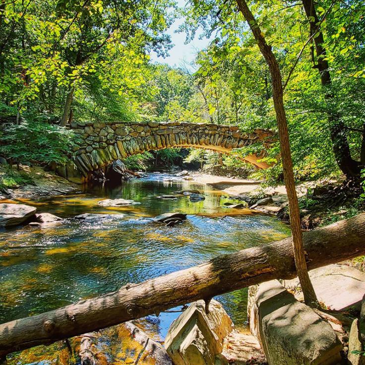 Nature scene with stream and bridge at Rock Creek Park