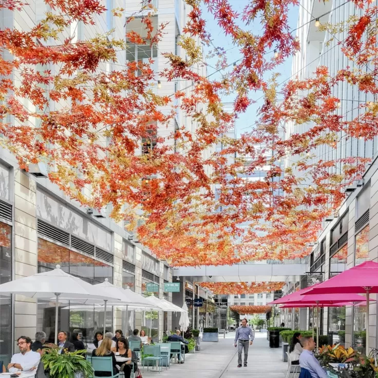 The Autumn Forest installation at Palmer Alley