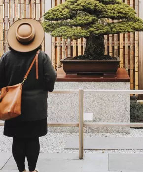 @lavalerosa - Visitor at the U.S. National Arboretum's National Bonsai & Penjing Museum - Free international experience in Washington, DC