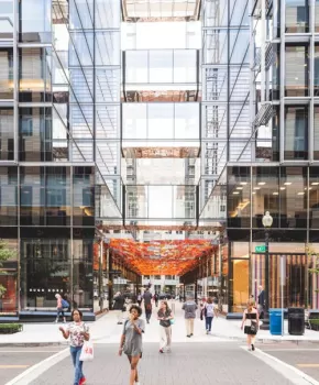 Fall Installation at Palmer Alley in CityCenterDC - Where to Shop in Washington, DC