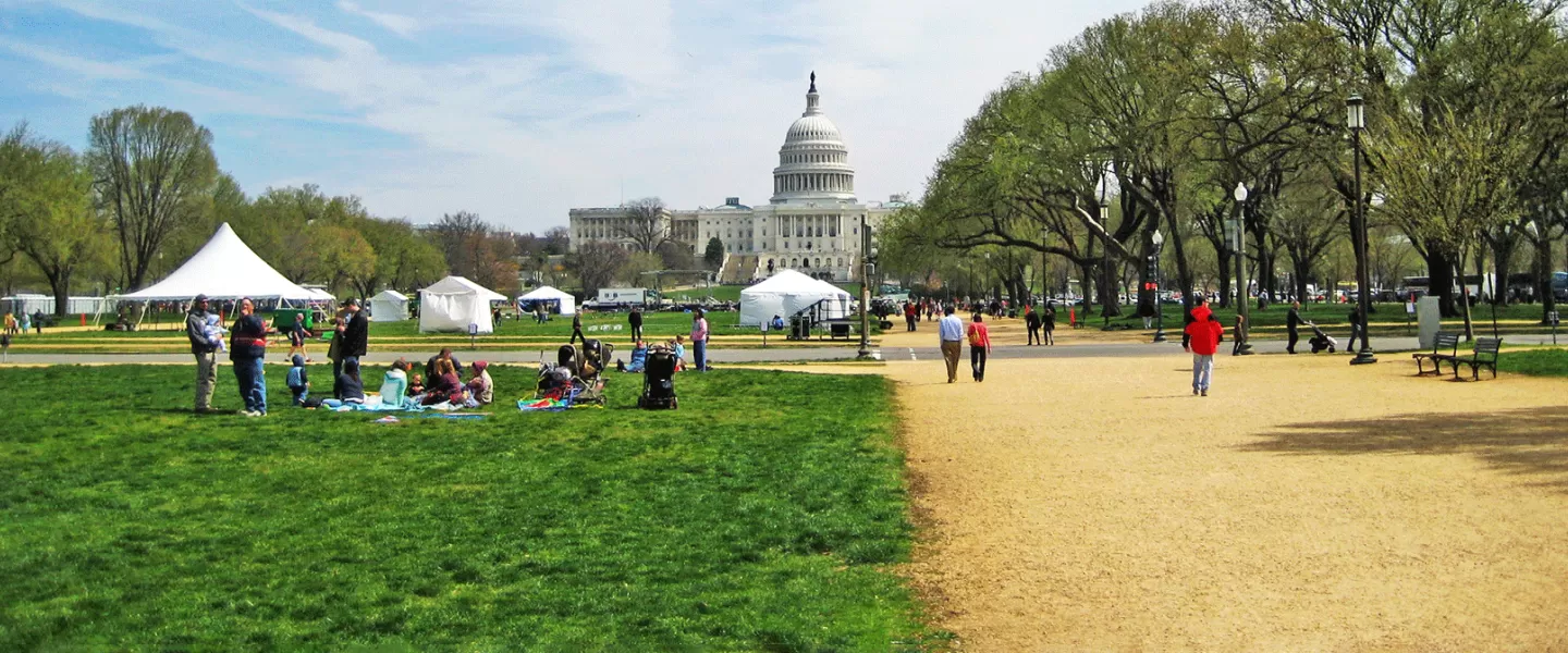 National Mall on a sunny day