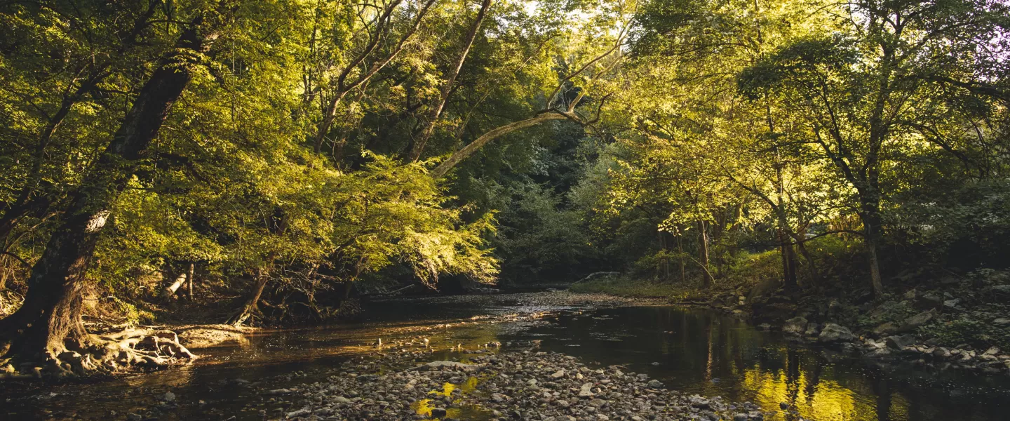 Rock Creek Park DC