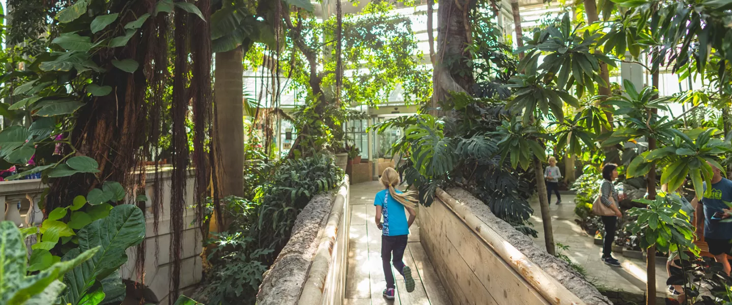 Child going through Botanical Garden