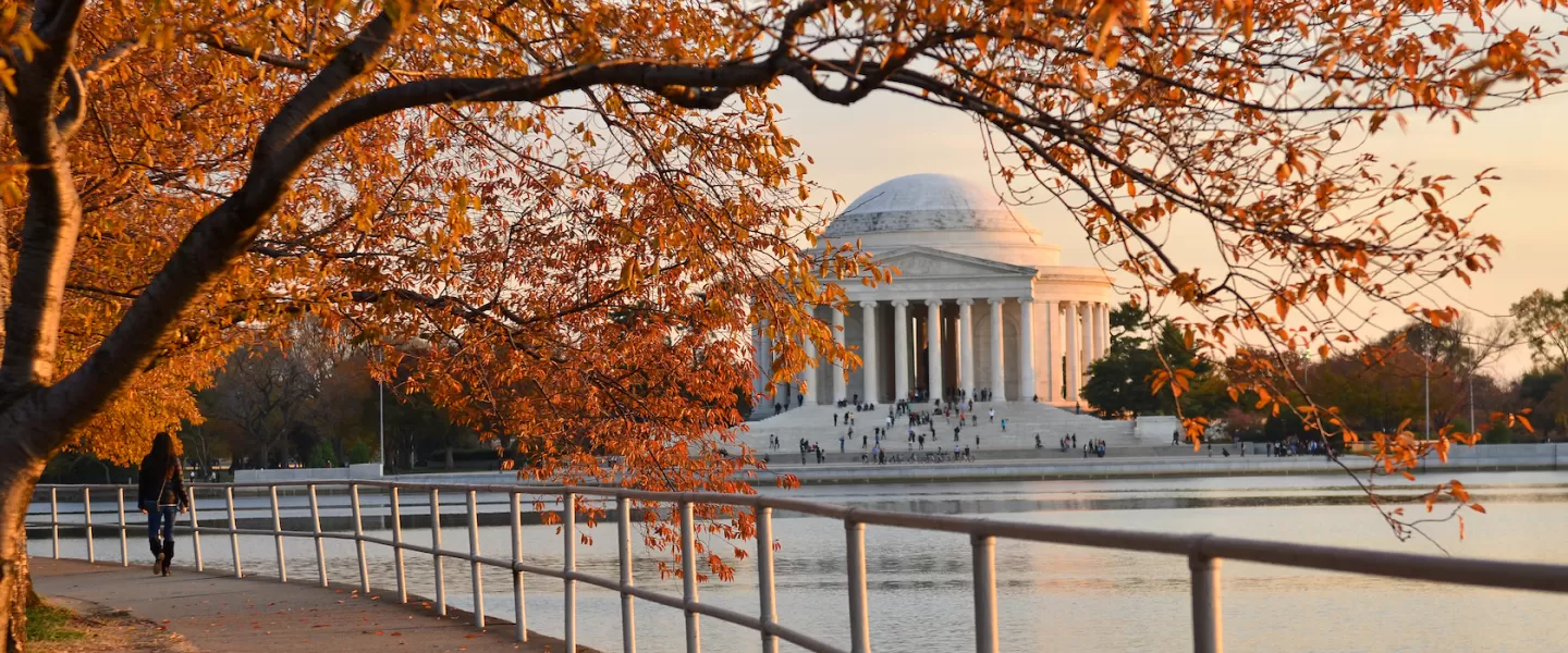 Fall at the Jefferson Memorial