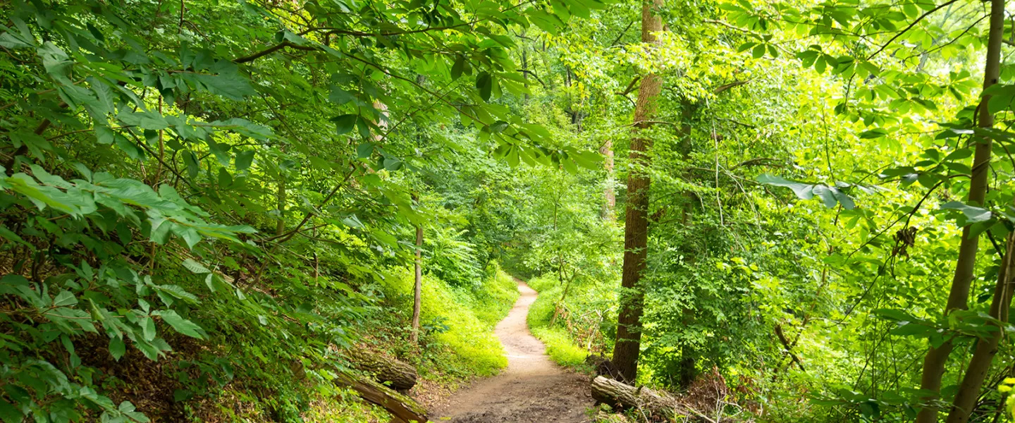 Rock Creek Park