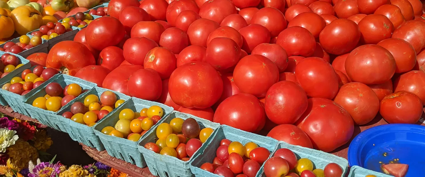 Dupont Circle's farmers market fruit and vegetable display 