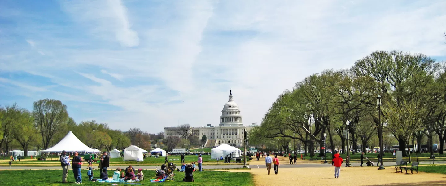 National Mall with the Capitol in the distance and people on the lawn