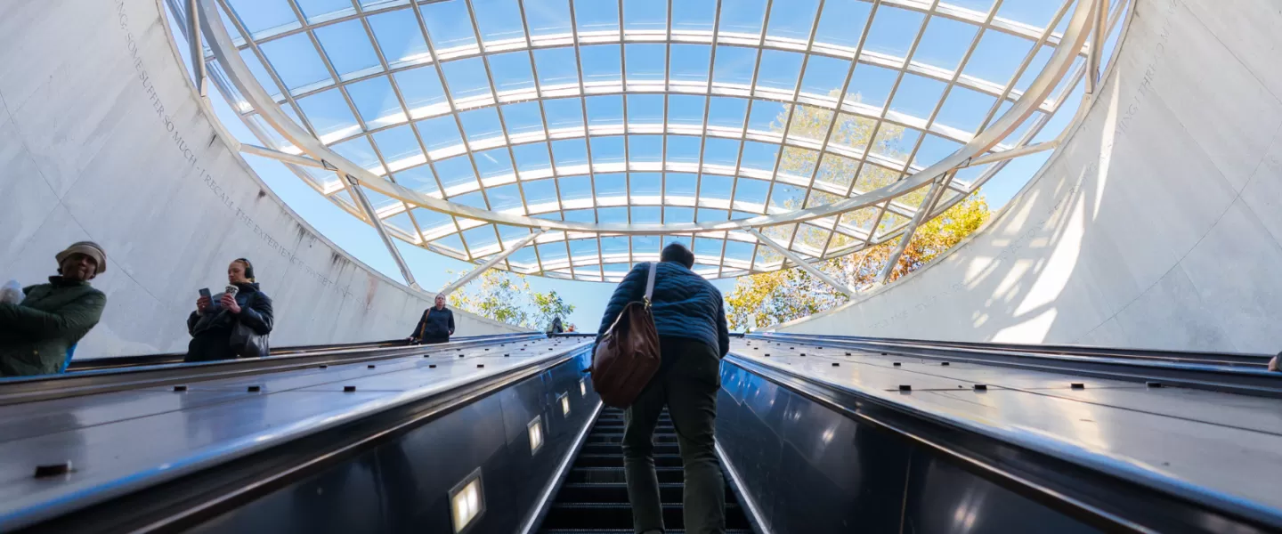 People ride up an escalator towards a skylight with a grid-like structure, revealing a bright blue sky and trees outside.