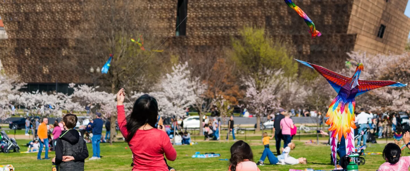 People fly colorful kites against the backdrop of the National Museum of African American History and Culture during the annual Kite Festival in Washington, DC.