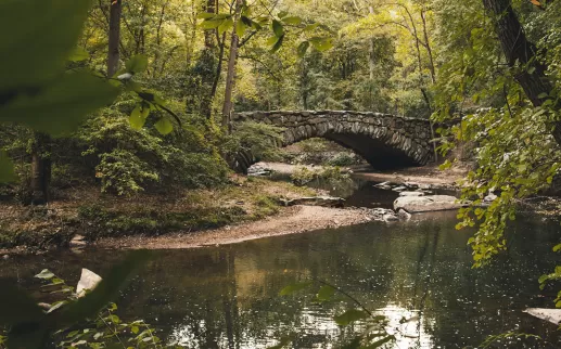 Bridge in Rock Creek Park (Credit: Joshua Cogan 2013)
