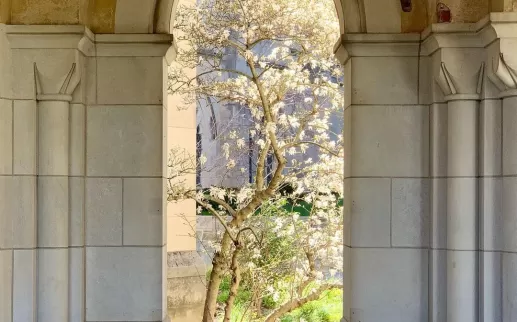 @rch1030 - National Cathedral
