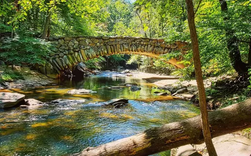 Nature scene with stream and bridge at Rock Creek Park
