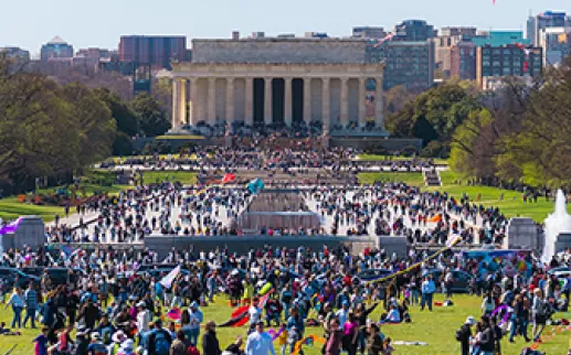 DC Kite Festival
