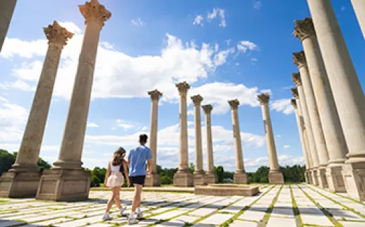 US National Arboretum
