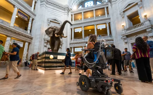 Accessibility in Smithsonian Museums 
