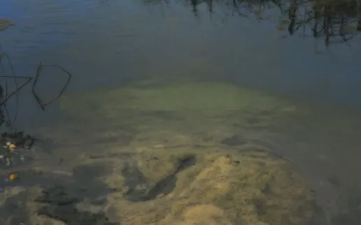 'Peter Campus: There Somewhere' at The Phillips Collection