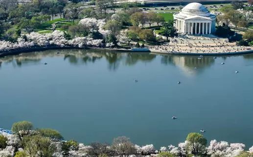 Your green Washington, DC travel guide for where to find sustainable hotels, eco-friendly attractions, locally sourced food, LEED-certified venues and more
