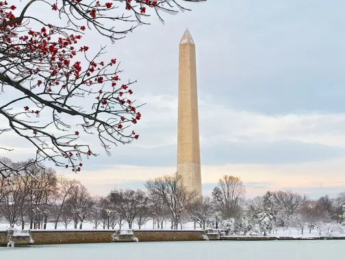 Washington Monument from the Tidal Basin in Winter