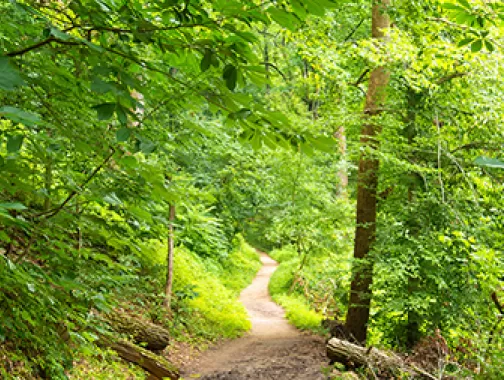 Rock Creek Park