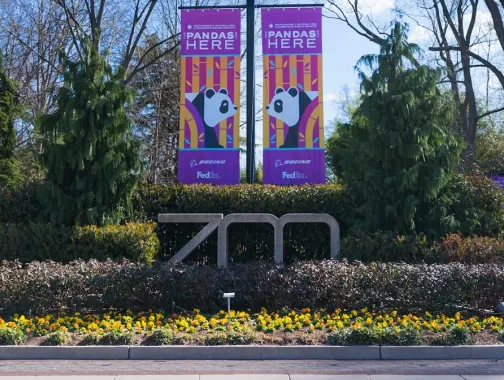 Entrance to the Smithsonian National Zoo with banners announcing pandas.