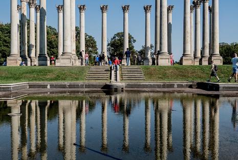 United States National Arboretum in Washington, DC - Free family-friendly outdoor attraction
