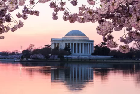 washington dc