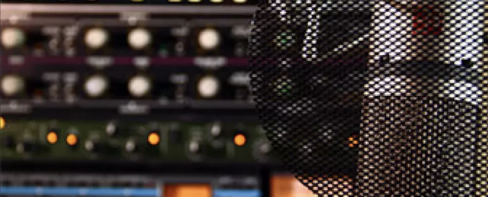 Ambassador Circle Insights