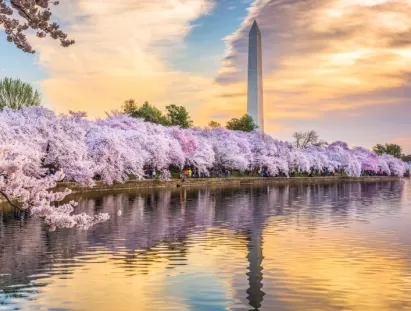 washington dc