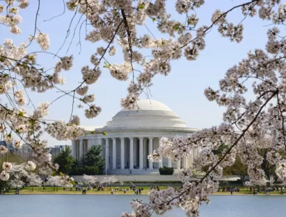 washington dc
